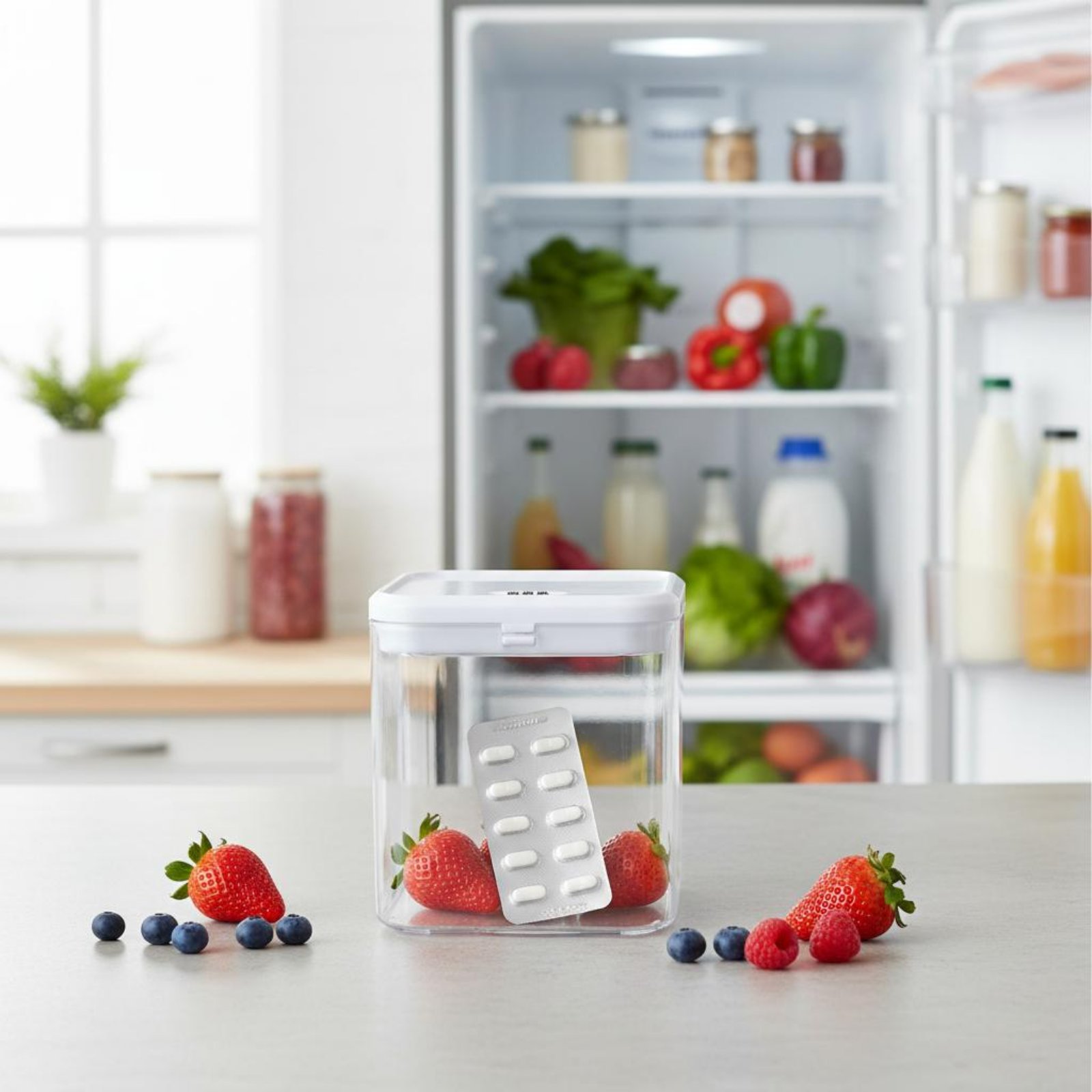 Clear Lockable Box Versatile L - Kitchen ulasan dan harga